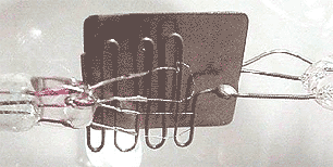 Управляющая сетка, анод и катод прямого накала в триоде Ли Ди Фореста