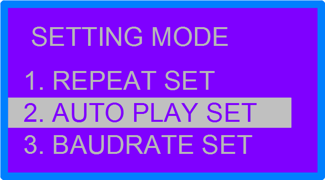 auto play set